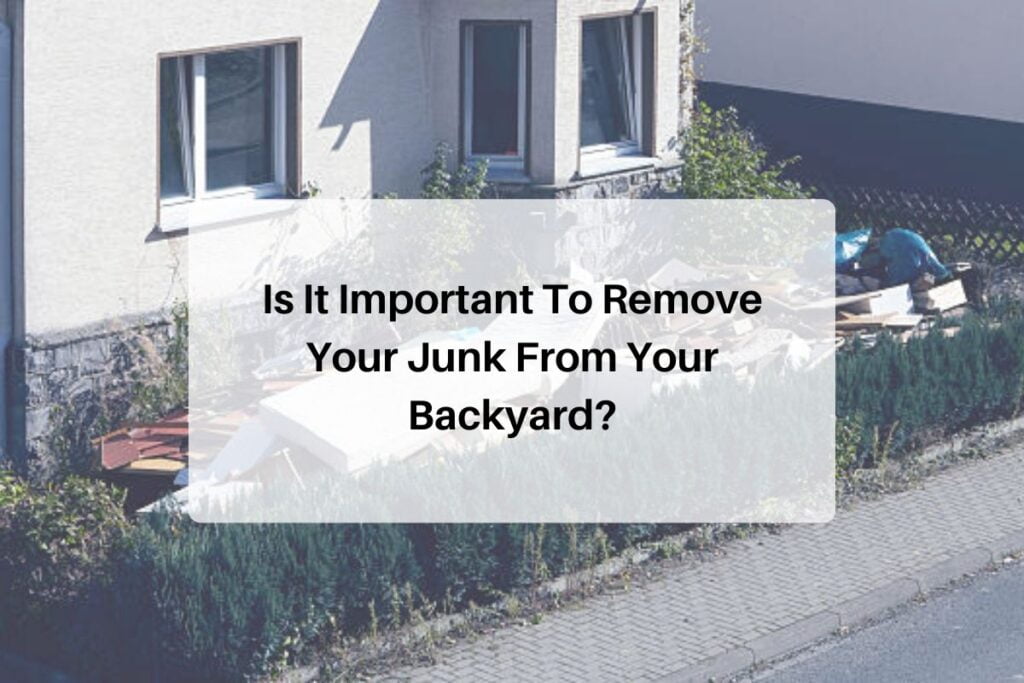 Yard Junk Removal service